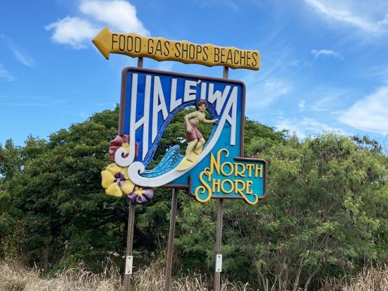 バン貸切チャーター　広々とした高級車ベンツのバン利用！貸切ガイドがご案内するオーダーメイドツアー＜1～14名／6～10時間／日本語ガイド＞