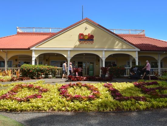 バン貸切チャーター　広々とした高級車ベンツのバン利用！貸切ガイドがご案内するオーダーメイドツアー＜1～14名／6～10時間／日本語ガイド＞