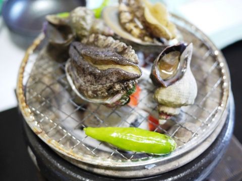札幌発グルメバスツアー　いわない高島旅館の日本海 海の幸づくし昼食+北海道ワイン+田中酒造亀甲蔵etc. ＜限定日催行／札幌市内発着＞