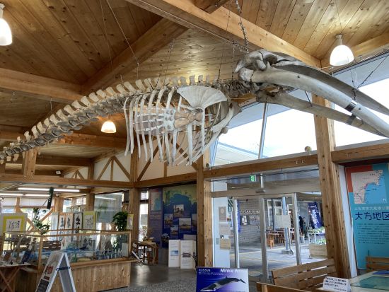 高知版「ウユニ塩湖」入野海岸＆砂浜美術館　貸切観光＜6時間／選べる出発時間／高知市内発＞