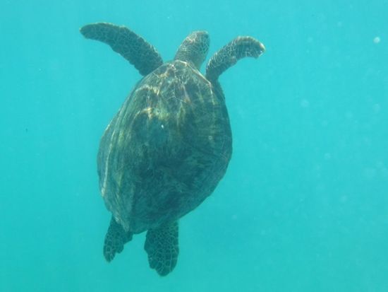 6EBC018A-5DAE-40B6-B456-9CF87D276C56