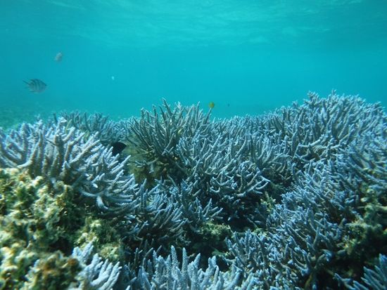 B81F78AA-CA61-4C3B-96BC-A88261A58FA0