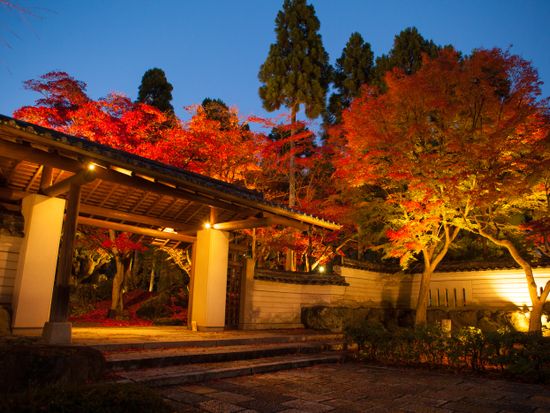 しょうざん庭園（秋イメージ）
