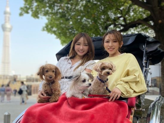 【愛犬参加OK！】浅草人力車観光ツアー　東京観光と写真撮影を1度に楽しめる！選べるコースと時間＜浅草発＞by 東京力車