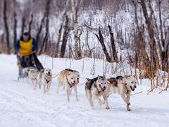 pixta_60727487_M