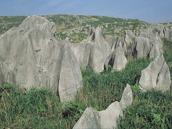 貸切観光タクシー 秋吉台・秋芳洞を巡る1日観光 選べるセグウェイ体験または元乃隅稲成神社訪問＜1～4名／6～8時間／新山口発着＞4名参加で1名13,950円～
