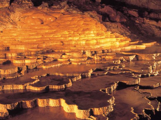 貸切観光タクシー 秋吉台・秋芳洞を巡る1日観光 選べるセグウェイ体験または元乃隅稲成神社訪問＜1～4名／6～8時間／新山口発着＞4名参加で1名13,950円～