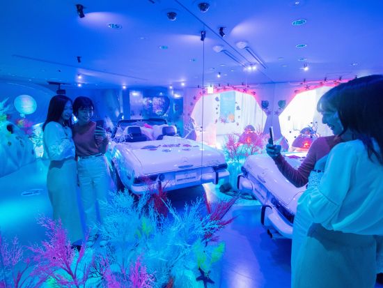 メディアアート＆レストランHELLO KITTY SMILE 入場チケット事前予約　ハローキティに会いにでかけよう！＜淡路島＞