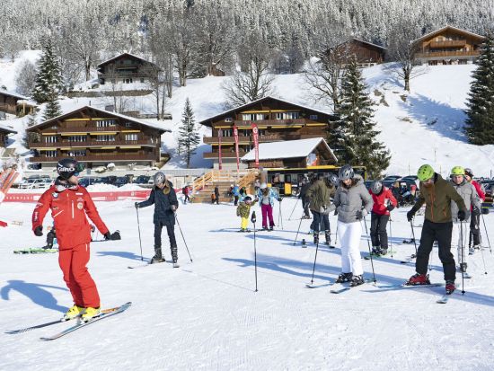 グリンデルワルト 1日スキー教室　レンタル用具＆1日リフト券付き ＜12～4月／レベル：初級者／英語インストラクター／グリンデルワルトまたはインターラーケン発＞