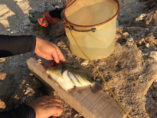 沖永良部島 西海岸 1泊2日ビーチキャンプ&サンセットカヤックツアー キャンプ初心者にもおすすめ！＜送迎 or レンタカー込＞ by 島暮