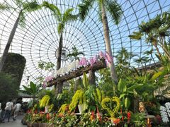 とっとり花回廊4©とっとり花回廊