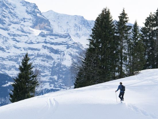 スノーシュー＆そり滑り体験ツアー　チーズフォンデュランチ付き ＜12～3月／英語ガイド／インターラーケン発＞