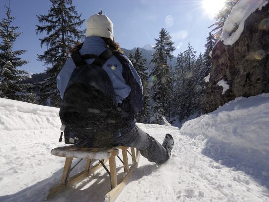 スノーシュー＆そり滑り体験ツアー　チーズフォンデュランチ付き ＜12～3月／英語ガイド／インターラーケン発＞