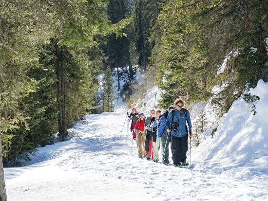 スノーシュー＆そり滑り体験ツアー　チーズフォンデュランチ付き ＜12～3月／英語ガイド／インターラーケン発＞