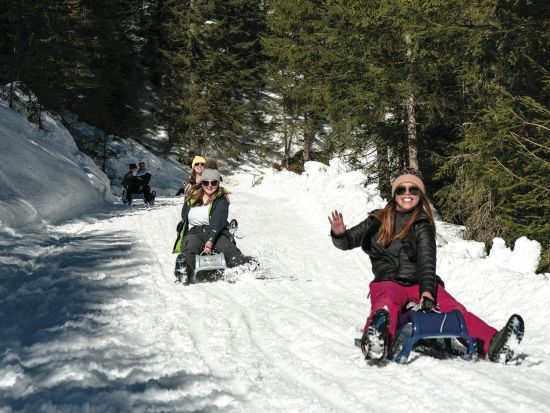 そり滑り体験ツアー　壮大なアルプス山脈を眺める！昼または夜ツアーの選択可 ＜12～3月／英語ガイド／インターラーケン発＞