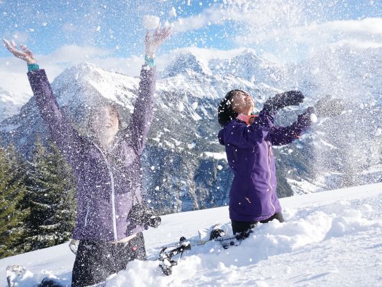 スノーシュー体験ツアー 　壮大なアルプス山脈を望む雪山ハイキング＜12～4月／英語ガイド／インターラーケン発＞
