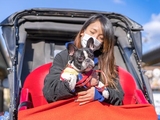 【愛犬連れOK】人力車観光 30分プラン 雷門＋二天門＋仲見世通り 浅草の王道へご案内＜ガイド付／浅草＞by えびす屋 浅草店