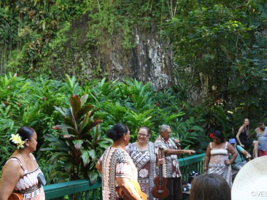 カウアイ島探索ツアー　シダの洞窟へ行くワイルア川クルーズ付き＜英語ガイド＞