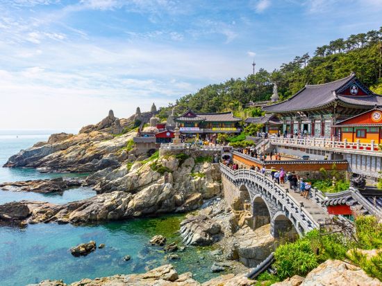 釜山市内観光ツアー　選べる釜山名物グルメを堪能！甘川文化村＋龍宮寺＋五六島スカイウォーク＋南浦洞ロッテモール＜1日／日本語ガイド／ホテル送迎＞