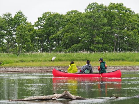 釧路湿原カヌー　国立公園＆ラムサール条約登録湿地「釧路湿原」で通年楽しむプライベートカヌープランアレキナイ川往復コース ＜塘路駅発着＞by ヒーリングカヌー釧路