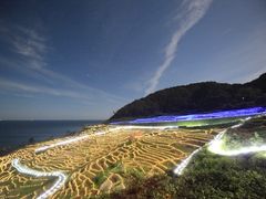 pixta_49243182_M