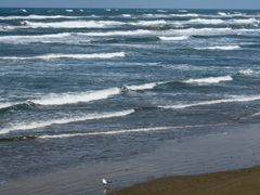 pixta_43596016_M