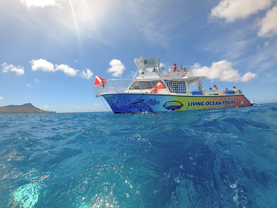 花火鑑賞クルーズ　ロカヒ号　遮るもののない海の上から花火を鑑賞！ソフトドリンク付き＜金曜日限定／ケワロ湾発＞