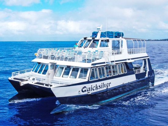 マウイ島シュノーケリングクルーズ　ウミガメの生息地「タートル・タウン」でシュノーケリングを満喫！＜4.5時間／昼食付き／マアラエア港発＞