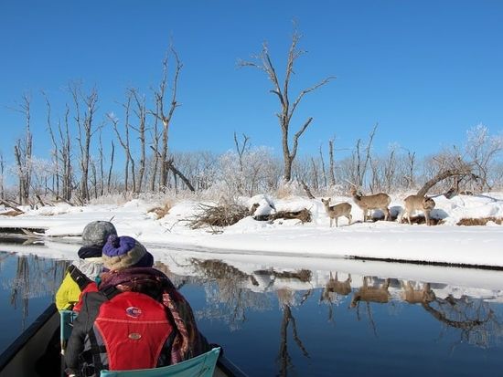 148870140_3589953311053890_5534252800322250016_n