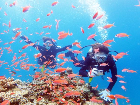 ファンダイビング 石垣島の海を少人数制で思い思いに楽しもう＜シャワー利用可／送迎可／石垣島＞by Fun Sea石垣島