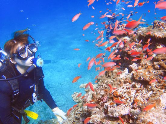 ファンダイビング 石垣島の海を少人数制で思い思いに楽しもう＜シャワー利用可／送迎可／石垣島＞by Fun Sea石垣島