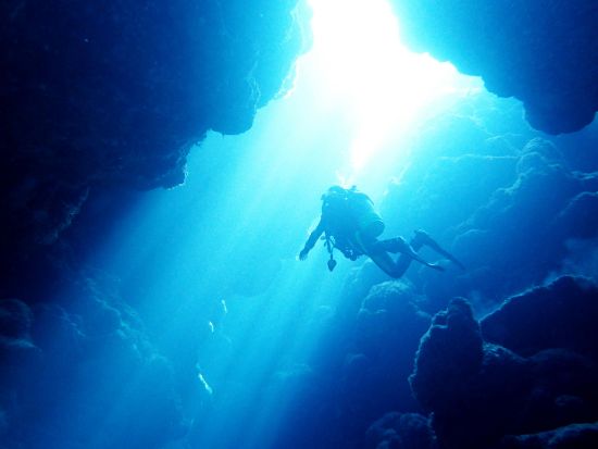 体験ダイビング 川平湾の綺麗な海で癒されよう！撮影データ無料プレゼント！＜少人数制／シャワー利用可／送迎可／石垣島＞by Fun Sea 石垣島