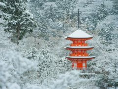 Japan_Kyoto_Kiyomizudera Temple_Pagoda_shutterstock_1093633814