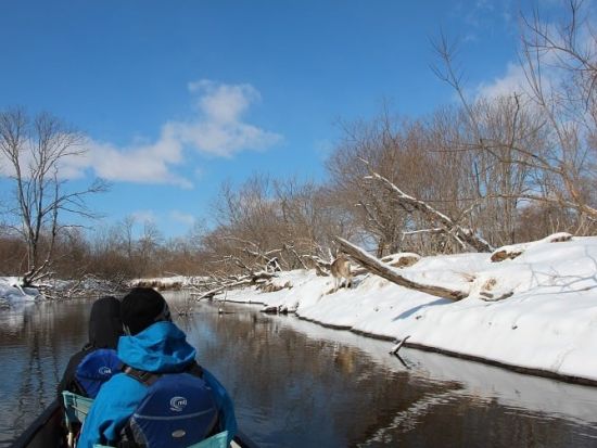 釧路湿原カヌー＆塘路湖 氷上トレッキング1日ツアー 冬の釧路湿原を満喫！1日1組貸切プライベートツアー＜釧路市内無料送迎／12～3月＞by ヒーリングカヌー釧路