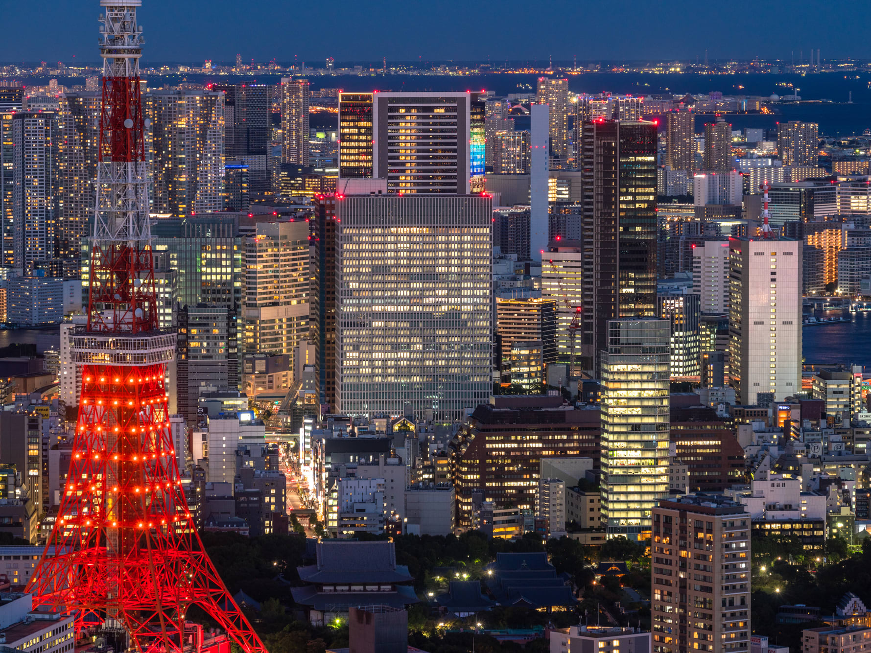 ２階建てオープンバス】東京プレミアムナイトドライブ 夜景の東京