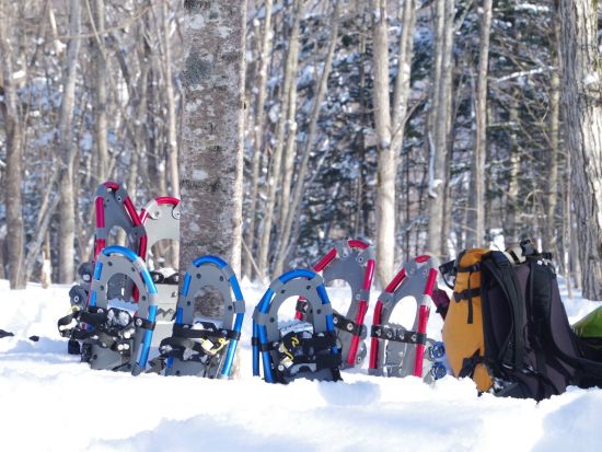 【1日1組限定】スノーシューピクニック ふかふかの雪の森へ大冒険！（3歳から参加OK）＜12～3月／富良野エリアから送迎付き／富良野市＞