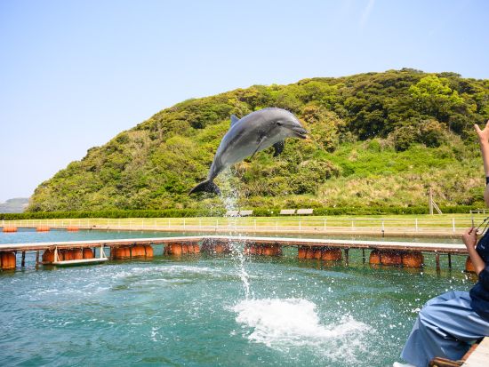 壱岐島貸切観光タクシー 小島神社、壱岐イルカパークリゾート、猿岩などの名所を巡る！映えスポット満載で写真撮影にもピッタリ♪＜6時間／～4名／郷ノ浦港発＞