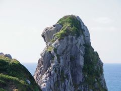 猿岩 (7)