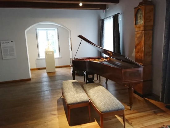 ショパンの生家 ジェラゾヴァ・ヴォラ観光ツアー＜貸切／午前・午後／日本語ガイド／ワルシャワ発＞