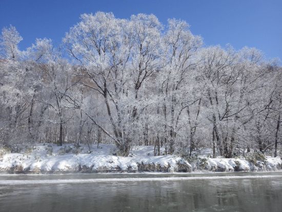 【プライベートプラン】ボート川下り体験 冬富良野の幻想的な風景を満喫　霧氷、｢霜の花｣フロストフラワーに出会えるかも！＜午前／12～3月／送迎付き／富良野市＞