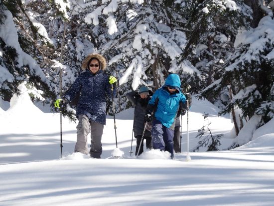 プライベートスノーシューツアー 大雪山国立公園の大自然 原生の森（貸切） 温泉入浴＆付き！＜12～4月／富良野エリア送迎付き／富良野市＞