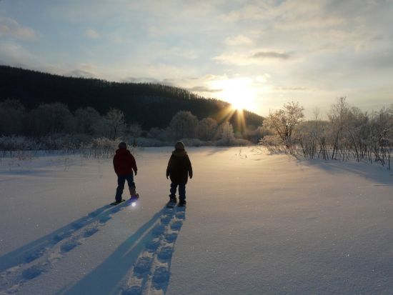 朝のスノーシューツアー 水と氷が生み出した不思議な自然現象川霧やフロストフラワーなどが見れるかも＜3歳～参加OK12月~3月／富良野エリア送迎付き／富良野市＞