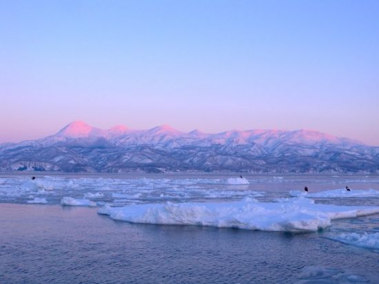 知床 流氷＆バードウォッチングクルーズ　世界遺産知床で生きる天然記念物オオワシやアザラシ、流氷に感動！前日20時までリクエスト予約受付＜2月～3月／羅臼港発＞