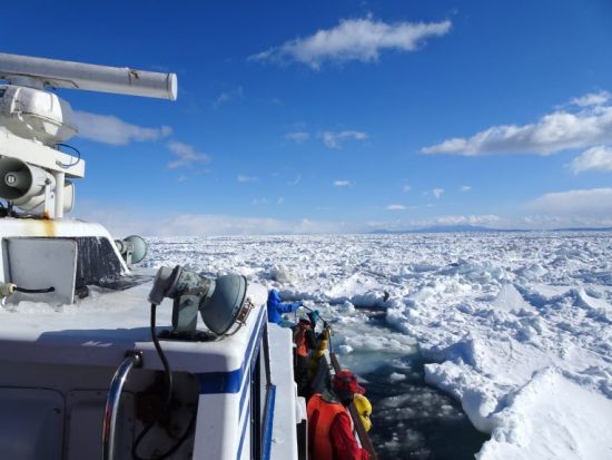 知床 流氷＆バードウォッチングクルーズ　世界遺産知床で生きる天然記念物オオワシやアザラシ、流氷に感動！前日20時までリクエスト予約受付＜2月～3月／羅臼港発＞
