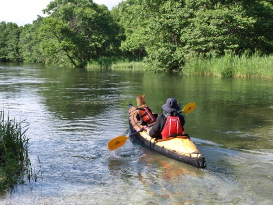 【愛犬連れOK】カヤック体験 ペットと一緒にのんびり四季を楽しむ多鯰池コース ＜1.5時間／山陰海岸ジオパーク鳥取砂丘エリア内＞by 鳥取県自然体験塾