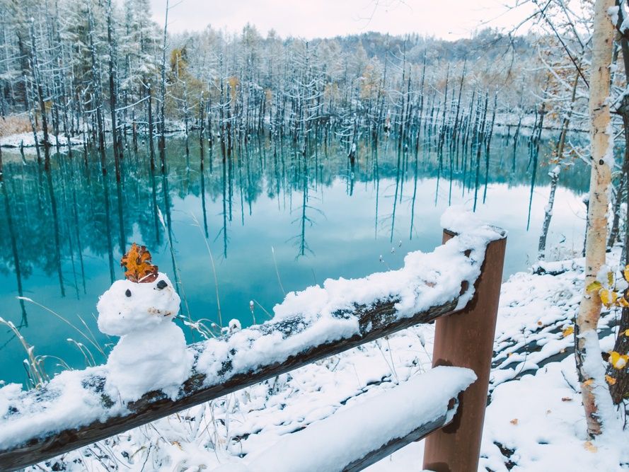 貸切観光タクシー 美瑛・富良野観光 青い池・四季彩の丘・ファーム富田