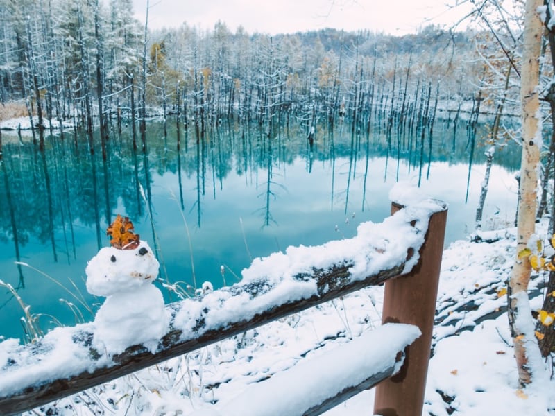 Japan_Hokkaido_Biei_Blue Pond_shutterstock_744830464