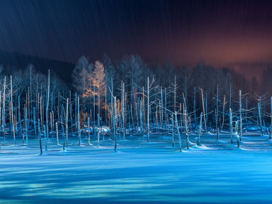 Japan_Hokkaido_Biei_Blue Pond_Frozen_shutterstock_579593482