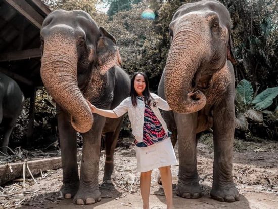 【カオラック発】エレファントキャンプで象とふれあい体験（約2時間）＜午前／ホテル送迎付／英語ガイド＞