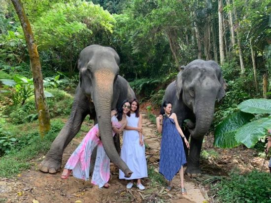 【カオラック発】エレファントケア体験＆竹いかだ川下り｜エコで楽しむ半日ジャングルサファリ＜午前・午後／送迎・食事付／英語ガイド＞